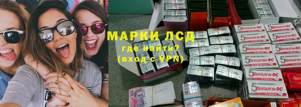 ПСИЛОЦИБИНОВЫЕ ГРИБЫ Горно-Алтайск