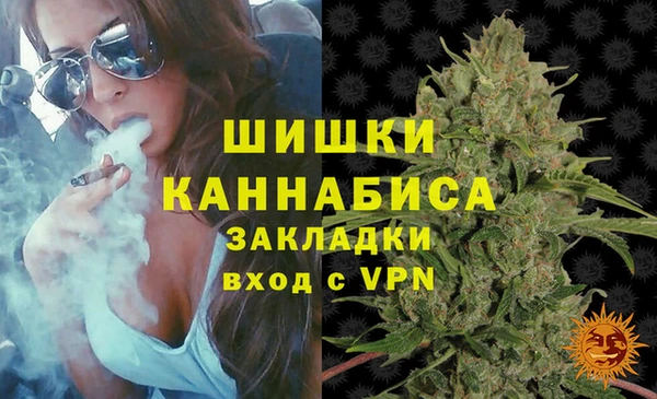 ПСИЛОЦИБИНОВЫЕ ГРИБЫ Горно-Алтайск