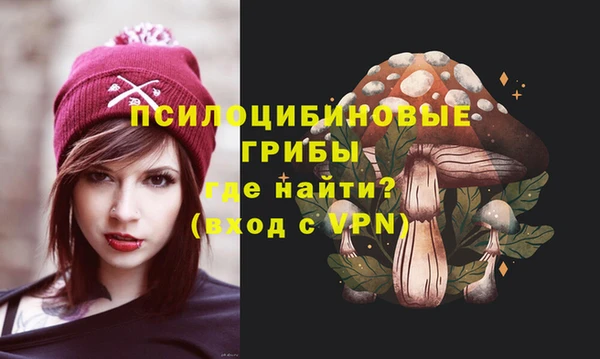 ПСИЛОЦИБИНОВЫЕ ГРИБЫ Горно-Алтайск