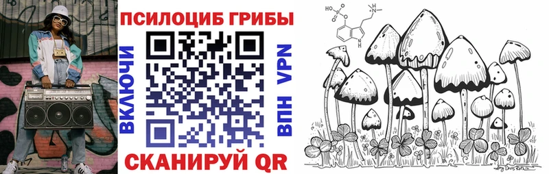 Галлюциногенные грибы прущие грибы  Перевоз 